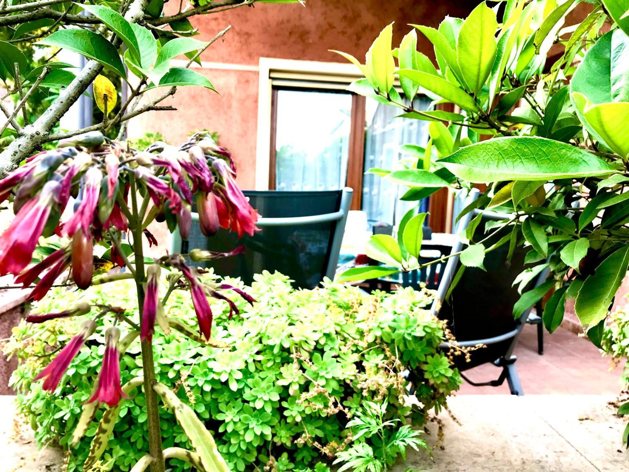 Villa Maria Apartments Moniga del Garda Exterior foto