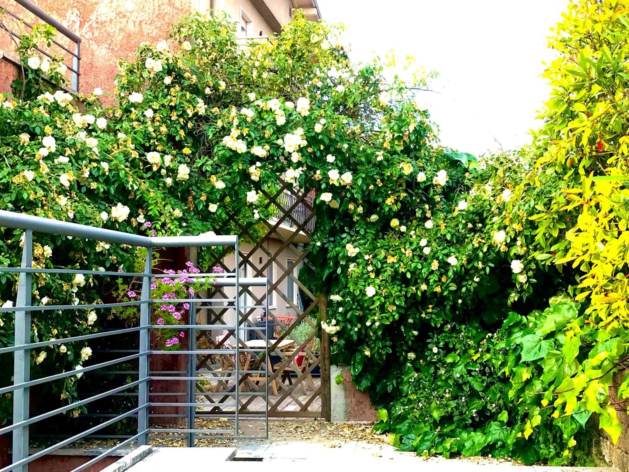 Villa Maria Apartments Moniga del Garda Exterior foto